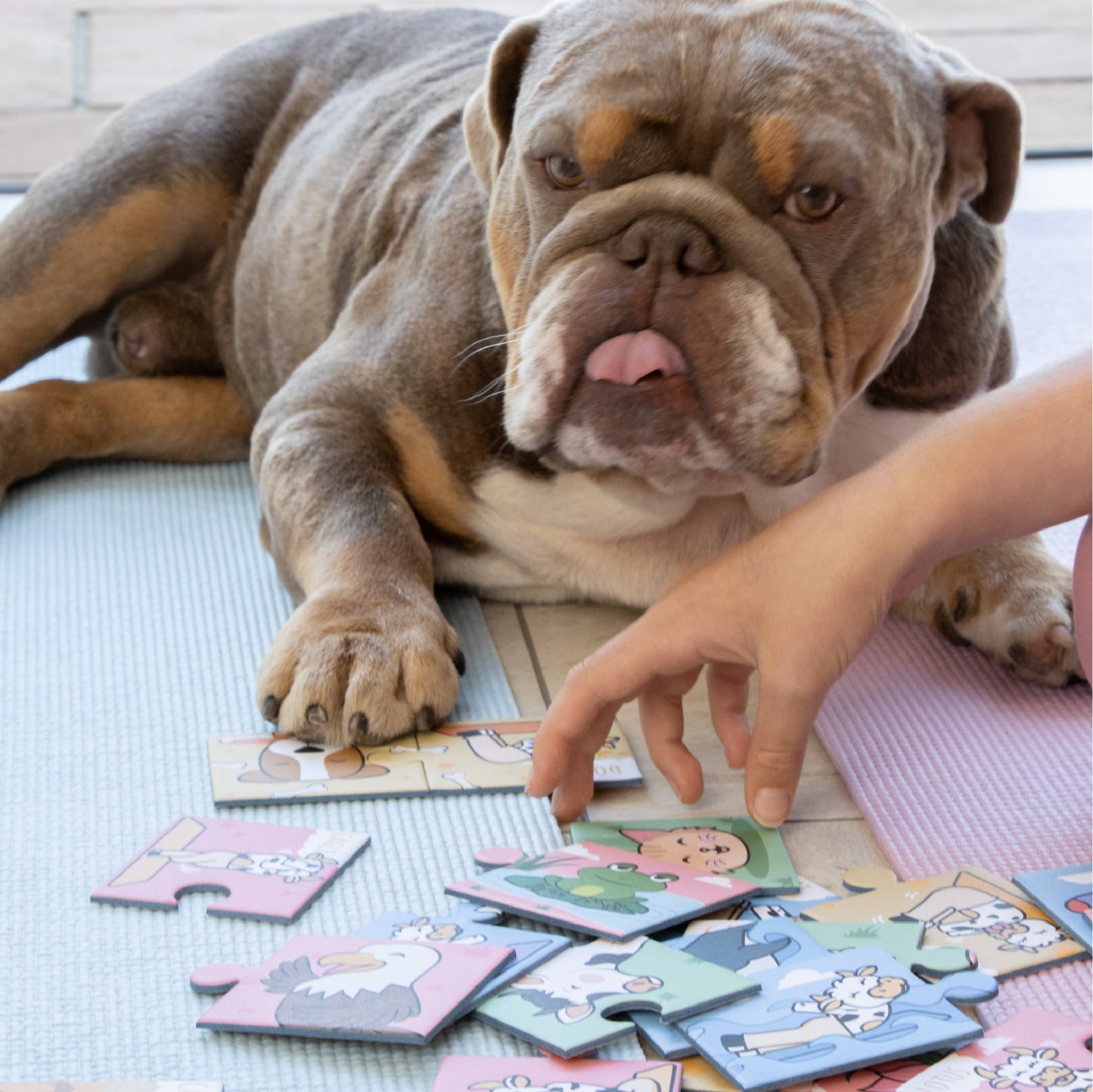 Kids Match & Pose Jigsaws