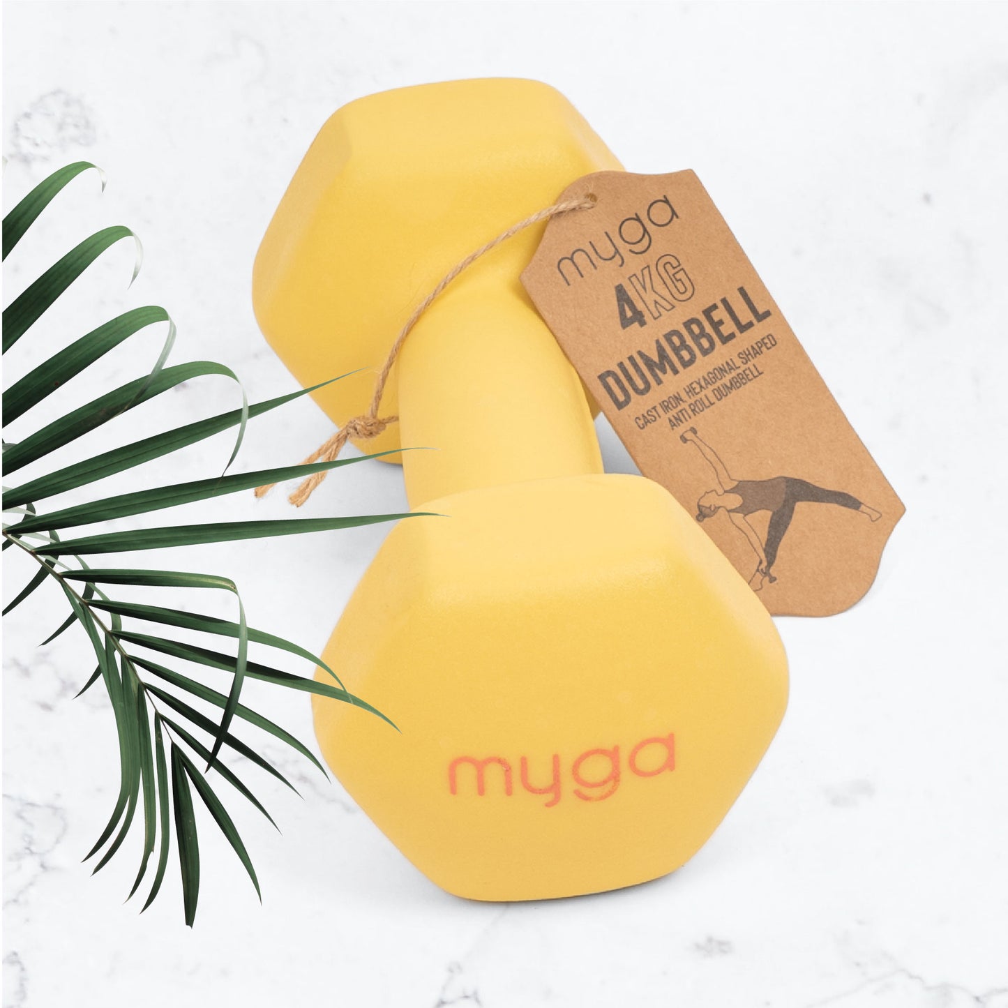 Hexagonal Dumbbell - 4kg Pair