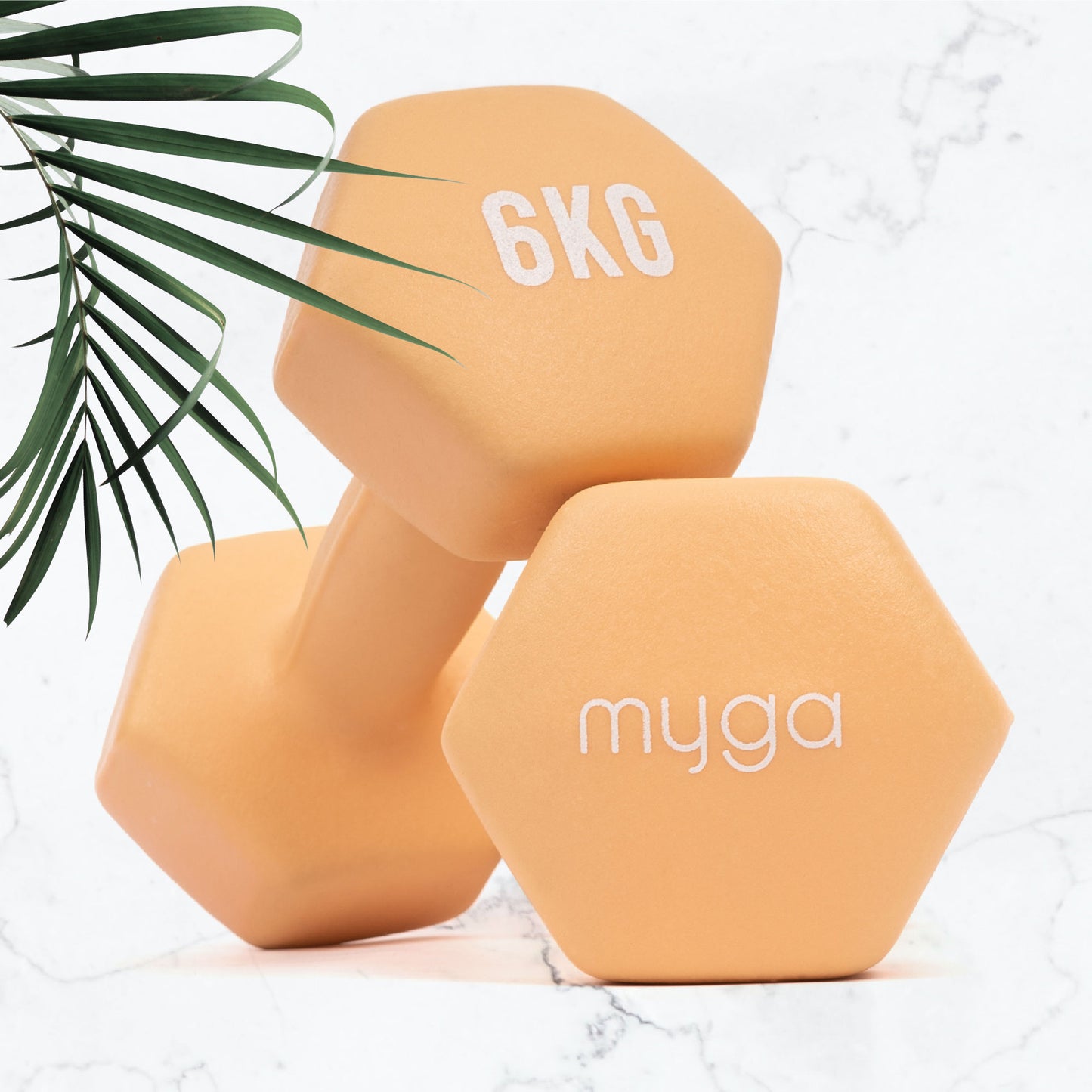 Hexagonal Dumbbell - 6kg Pair
