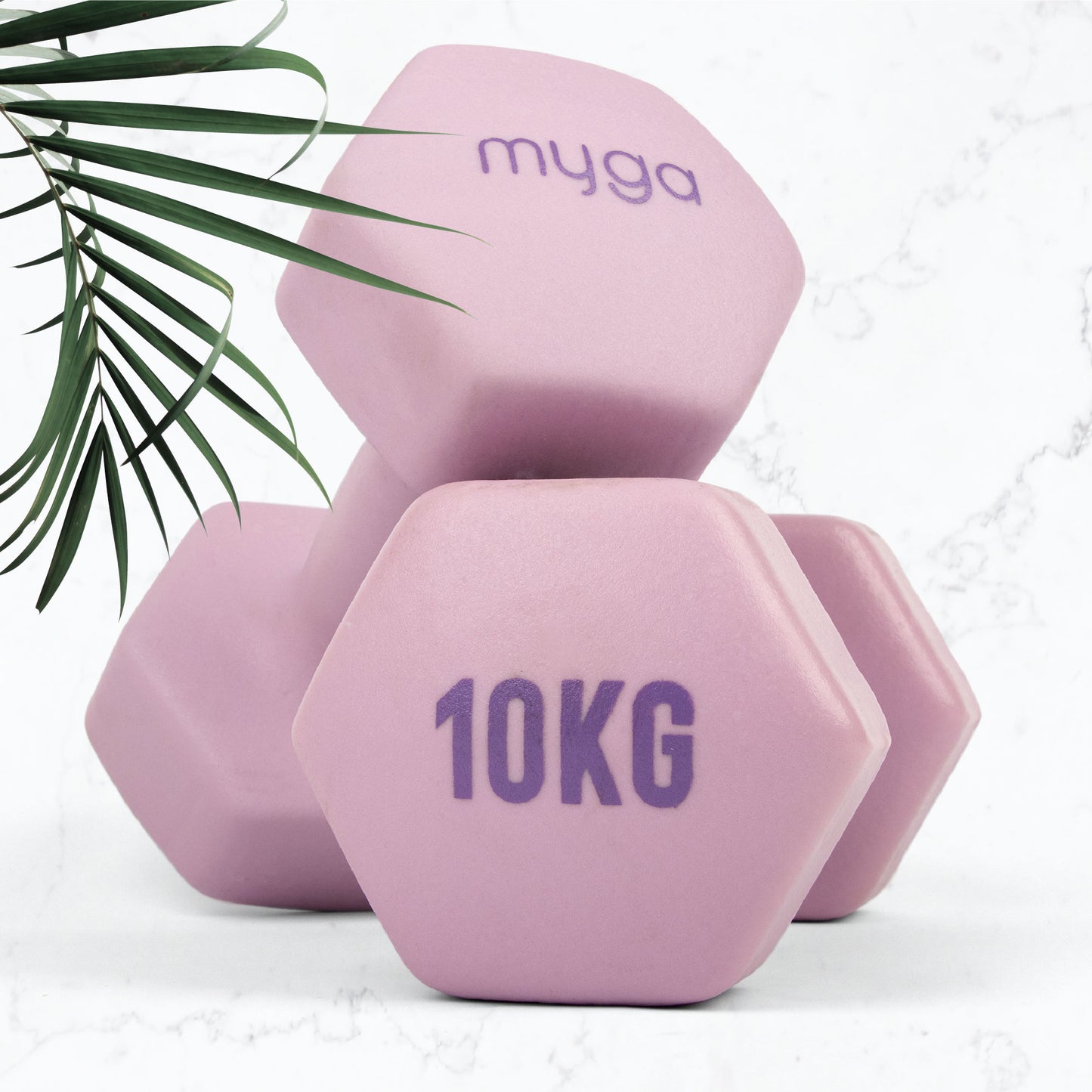 Hexagonal Dumbbell - 10kg Pair