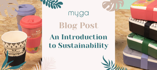 An introduction to sustainability